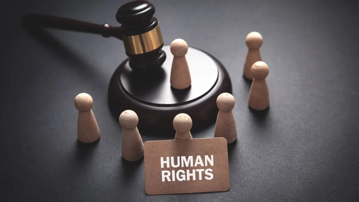 ISEIE-curso derechos humanos, Curso de Derechos Humanos, derechos humanos, derechos naturales, ley moral natural, comunidad internacional, naturaleza humana, dignidad humana, relaciones humanas, defensa de los derechos humanos, vulneraciones de derechos humanos, derechos fundamentales, Institución Superior Estudios Innovadores Europeos, ISEIE, ISEIE Innovation School, estereotipos de género