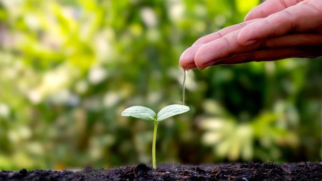 ISEIE-Educación ambiental