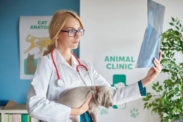 Diplomado en Farmacología Veterinaria