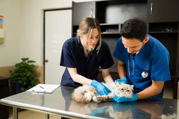 Diplomado en Farmacología Veterinaria