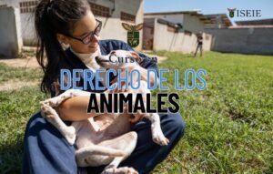 Ilustración de un curso en derecho de los animales con un grupo de personas protegiendo diferentes tipos de animales (mascotas, silvestres, ganaderos).