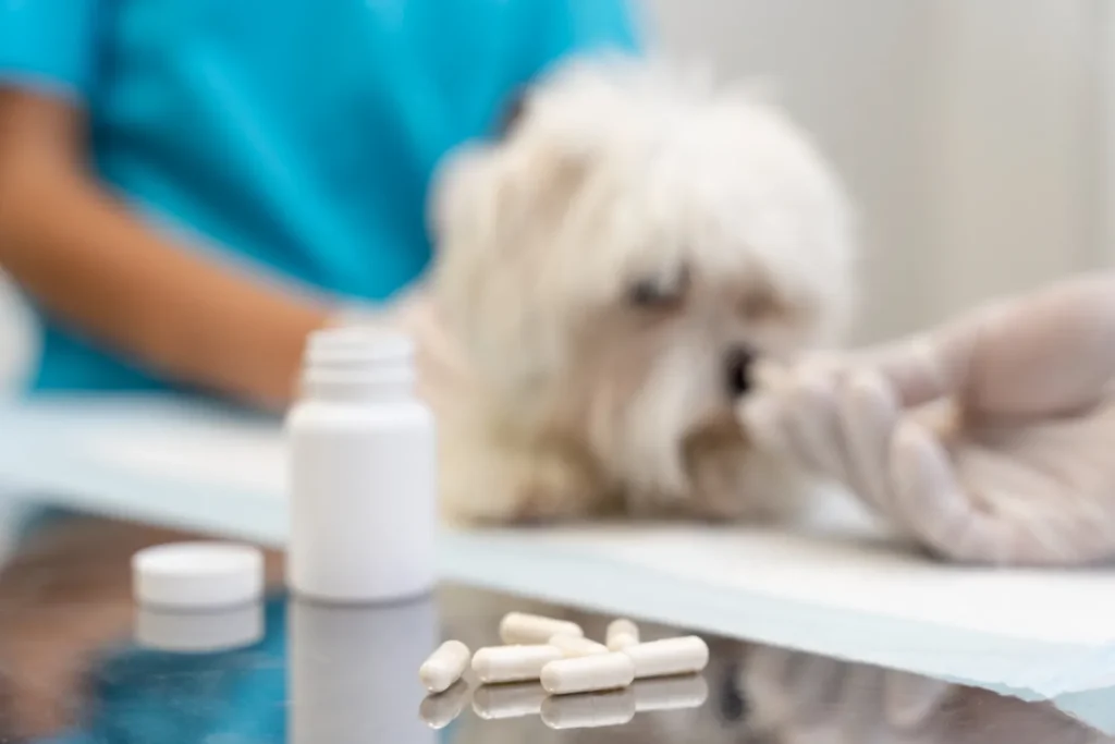 Diplomado en Farmacología veterinaria