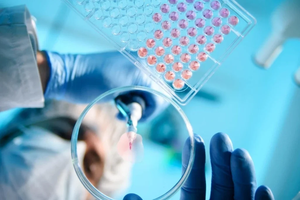 Diplomado en Bioética y Aspectos Legales 3