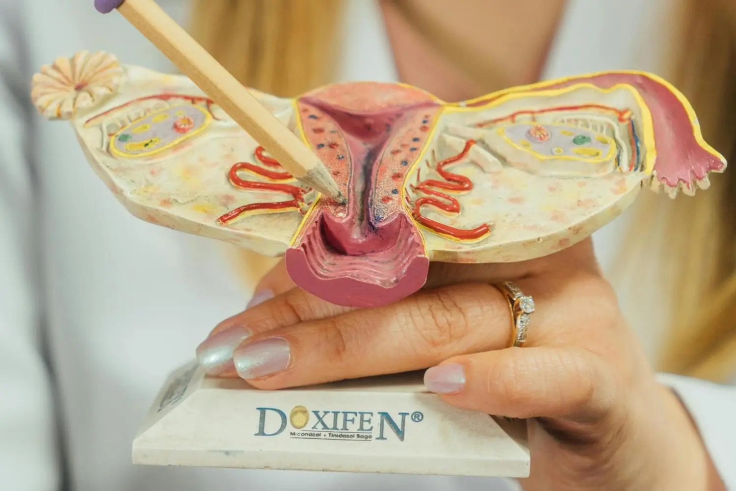 Diplomado en Endocrinología Reproductiva 2