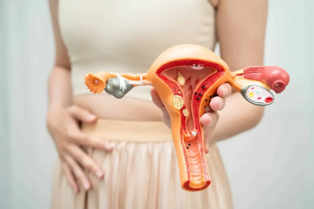 Máster en Ciclo Menstrual y Endocrinología Reproductiva 1