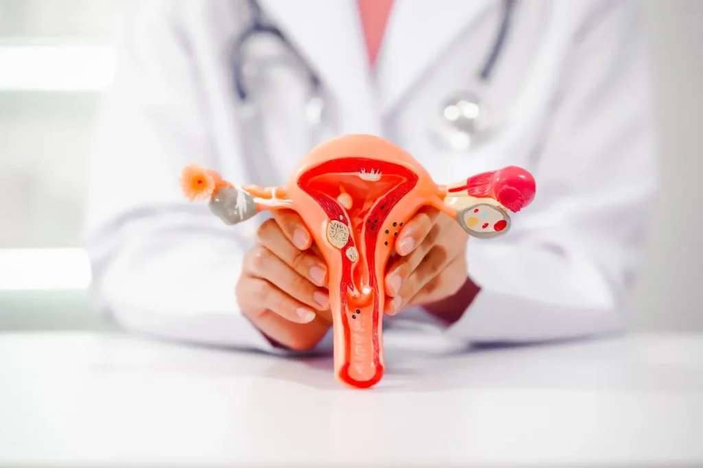 Máster en Endocrinología y Medicina Reproductiva 3