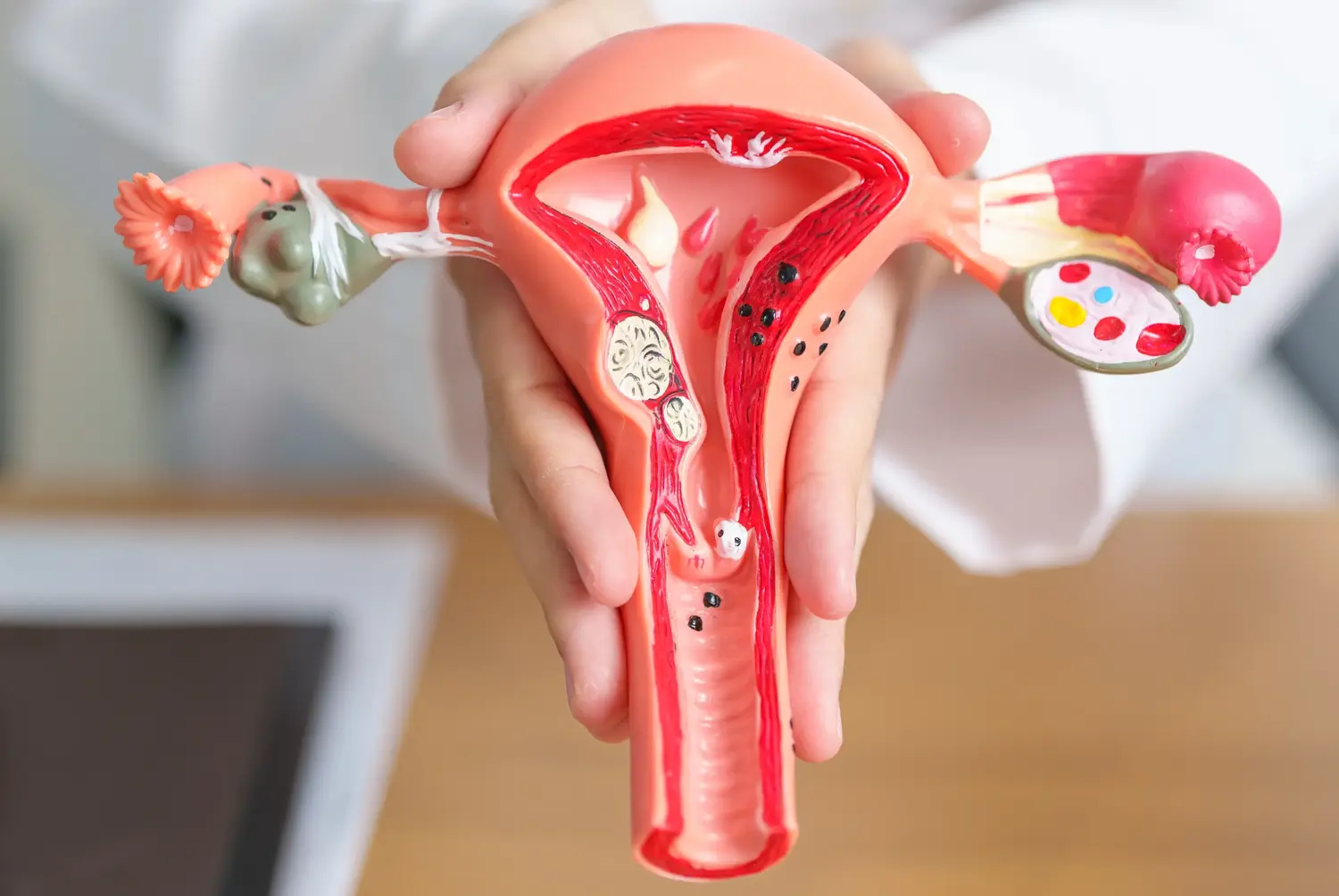 ciclo Menstrual y Endocrinología Reproductiva 2