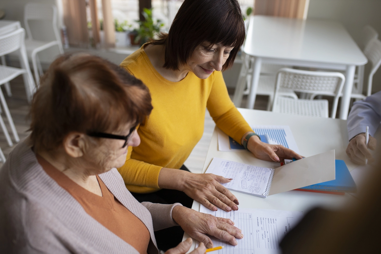 Curso en Diseño de Programas Comunitarios de Salud para Mujeres en Menopausia 2