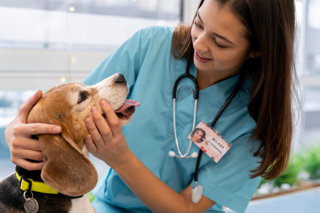 Especialidades veterinarias, cuáles existen y cómo acceder a ellas