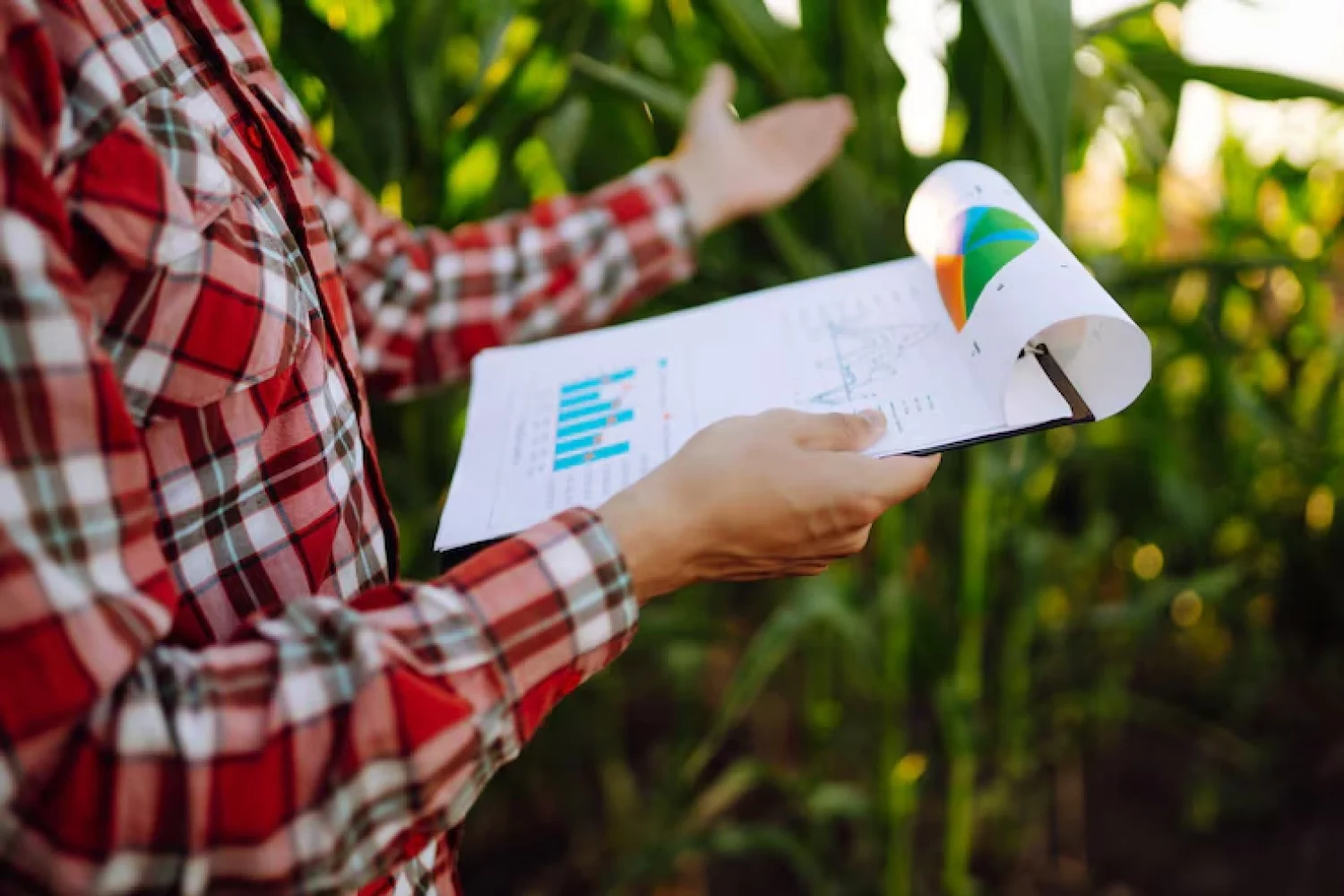Curso en Derechos de la Agricultura y Alimentos
