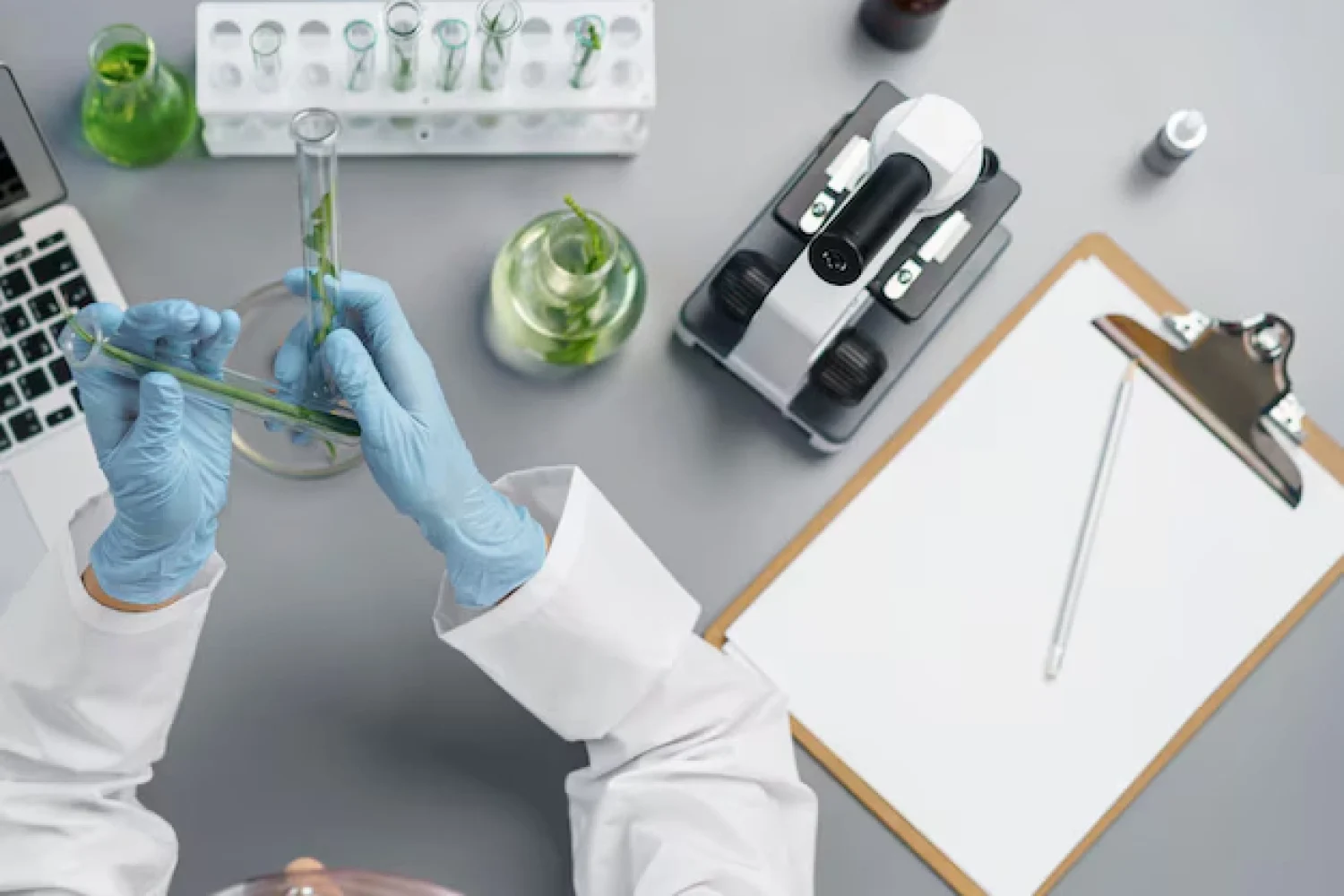 Curso en Regulación y Legislación Farmacéutica Internacional