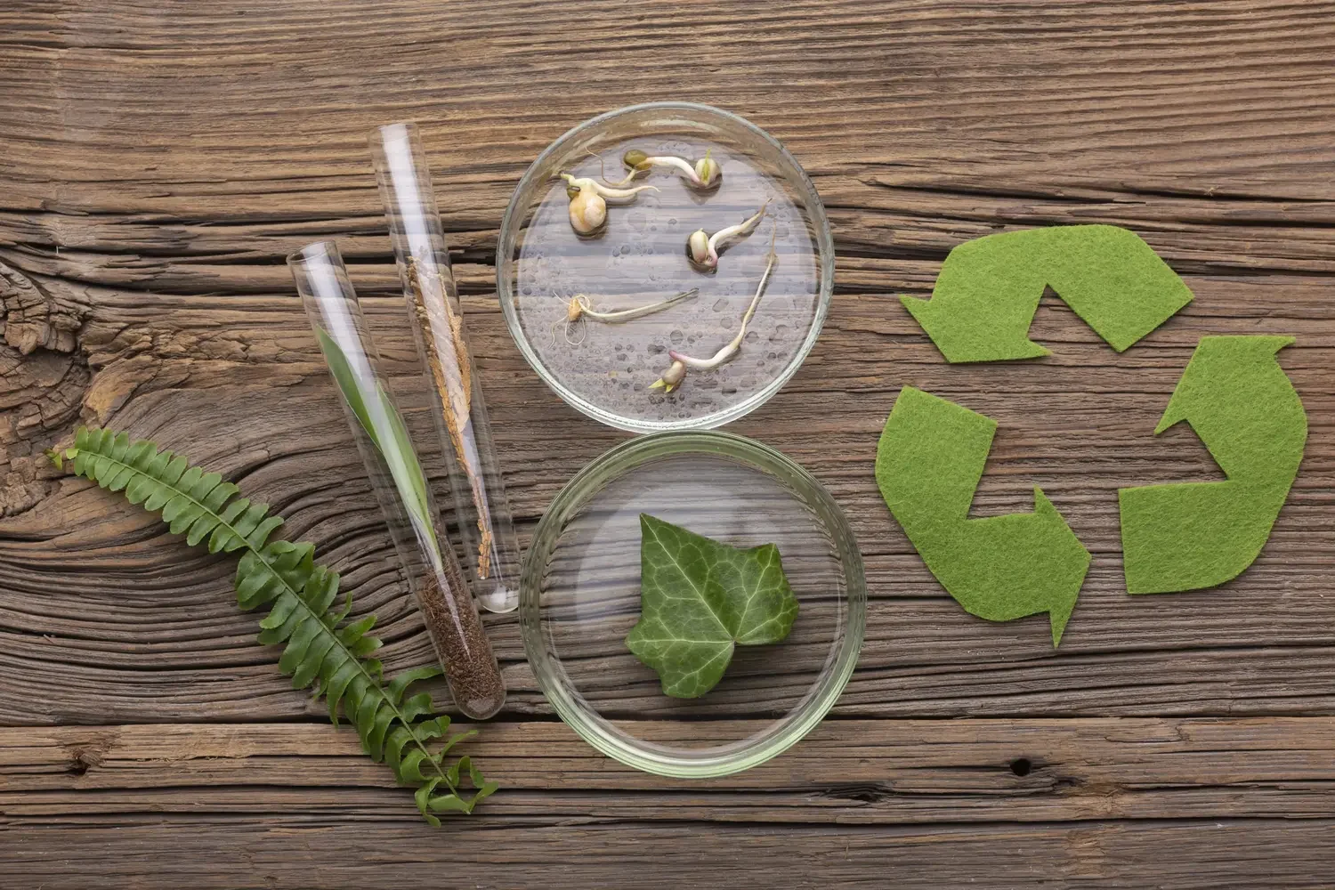 Diplomado en Economía Circular y Reducción de Microplásticos 1