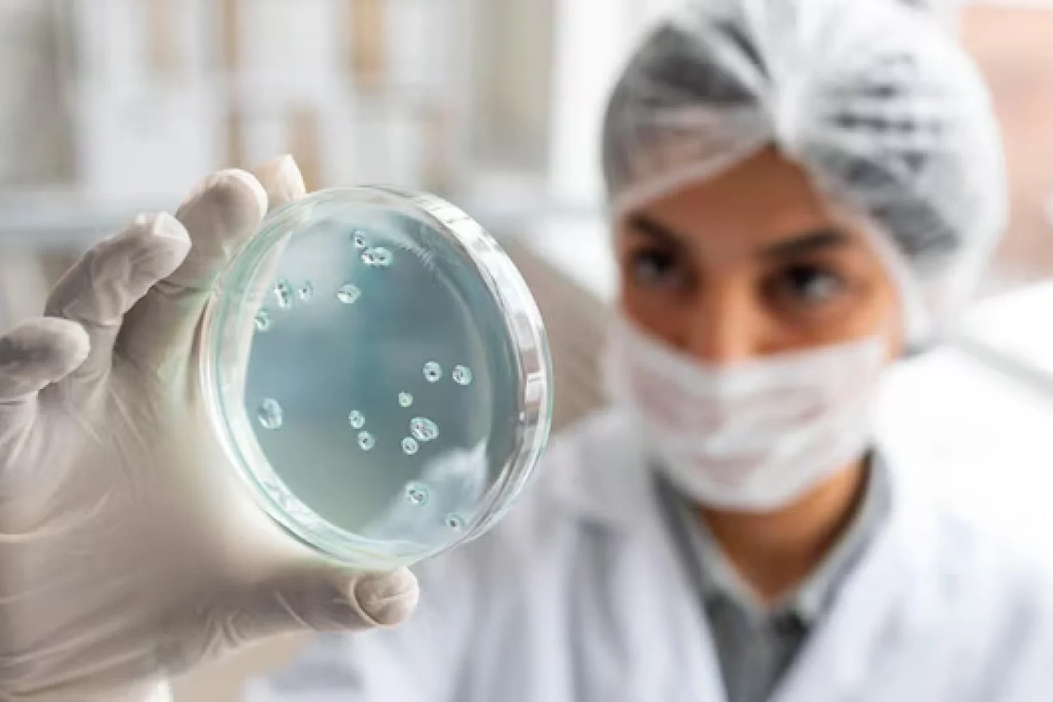 Diplomado en Nanofarmacología