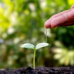 ISEIE-Educación ambiental