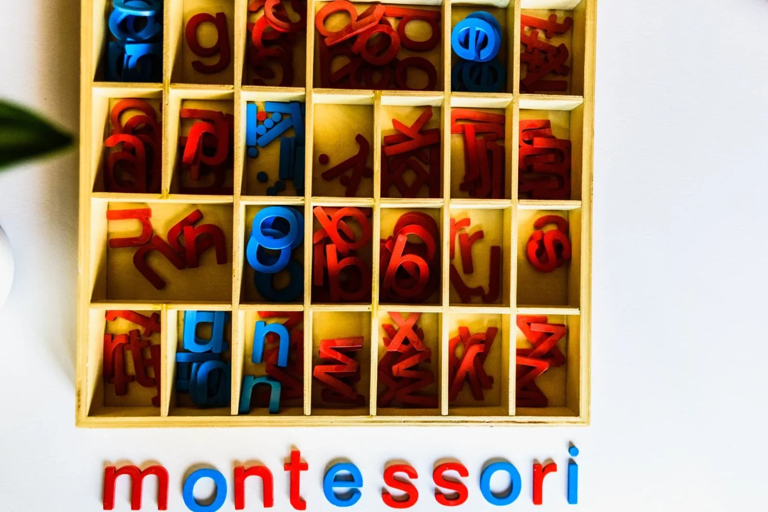 ISEIE-curso montessori