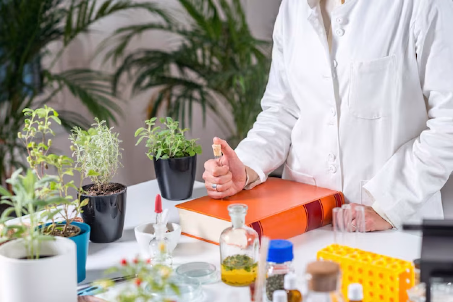 Maestría en Farmacología de Productos Naturales