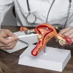 Maestría en Uroginecología y Suelo Pélvico 1