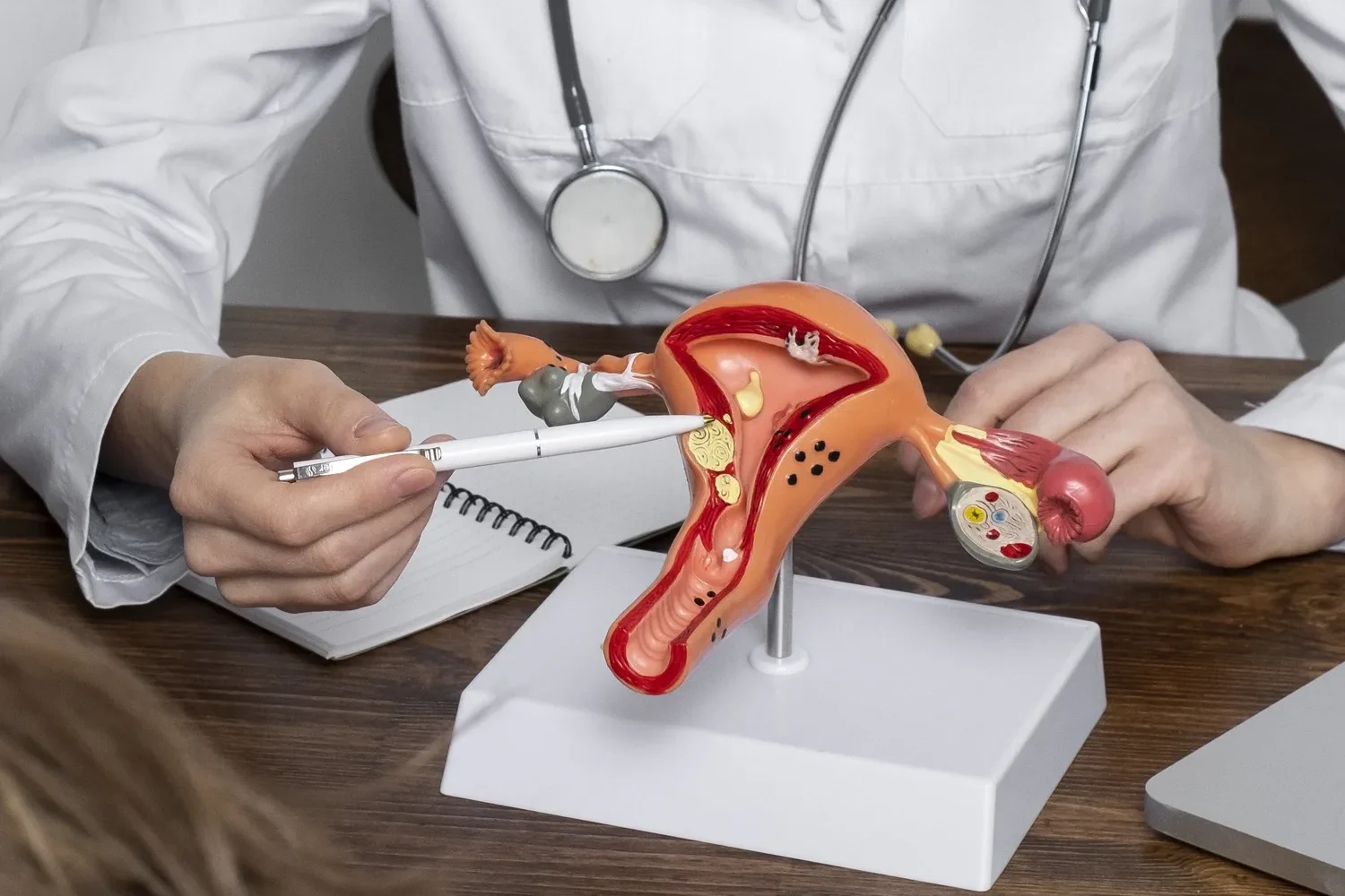 Maestría en Uroginecología y Suelo Pélvico 1