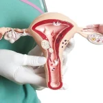 ciclo Menstrual y Endocrinología Reproductiva 1